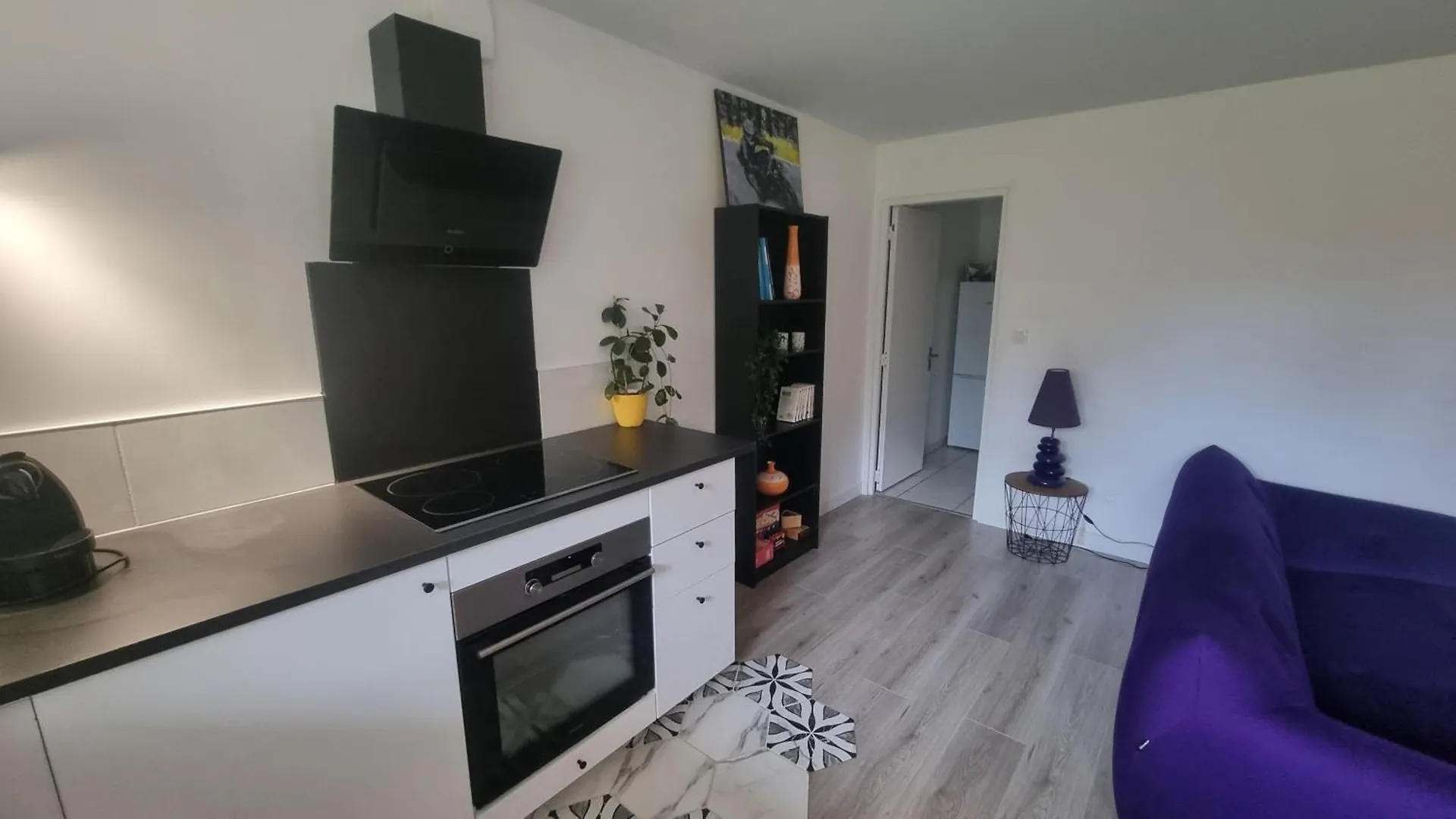 Le Charmant T3 Avec Jardin Prive Flourens Apartament