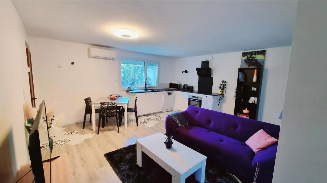 Le Charmant T3 Avec Jardin Prive Flourens
